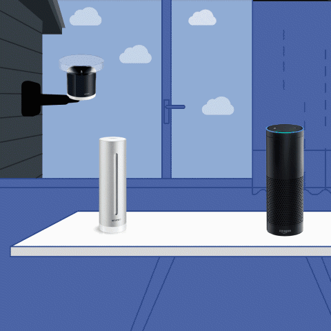 Netatmo Weather will tell you how much it rained